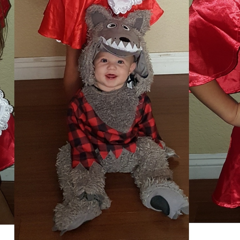 6-12 month baby wolf costume!